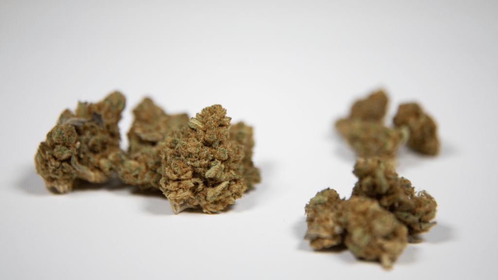 The Challenges of Seed-to-Sale Tracking in a Fragmented Cannabis Industry